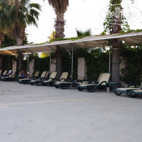 фото из отзыва ID 1996699