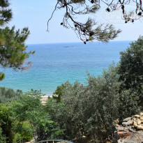 фото из отзыва ID 1996093