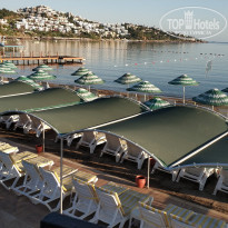 фото из отзыва ID 1996647