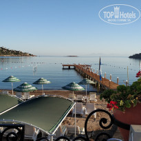 фото из отзыва ID 1996647