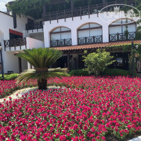 фото из отзыва ID 1996793