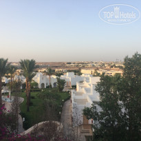 фото из отзыва ID 1996776