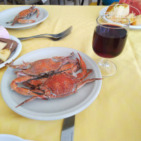 фото из отзыва ID 1996815