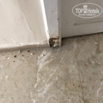 фото из отзыва ID 1991470