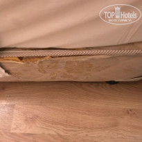 фото из отзыва ID 1991470