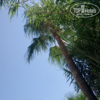 фото из отзыва ID 1996963