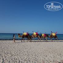 фото из отзыва ID 1996853