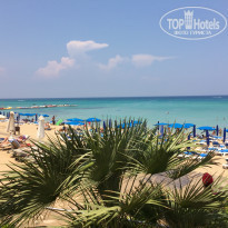 фото из отзыва ID 1997029