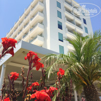 фото из отзыва ID 1997029