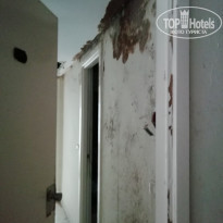 фото из отзыва ID 1993111