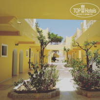 фото из отзыва ID 1997313