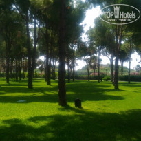 фото из отзыва ID 1997335