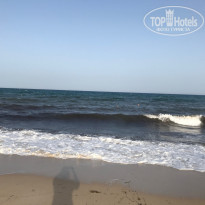 фото из отзыва ID 1990830