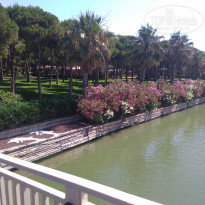 фото из отзыва ID 1997335