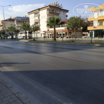 фото из отзыва ID 1997400