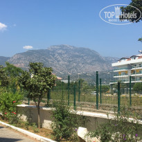 фото из отзыва ID 1997353