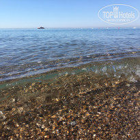 фото из отзыва ID 1997240