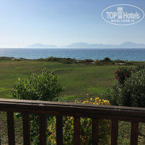 фото из отзыва ID 1997423