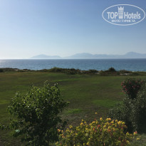 фото из отзыва ID 1997423