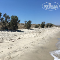 фото из отзыва ID 1997423