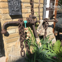 фото из отзыва ID 1997435