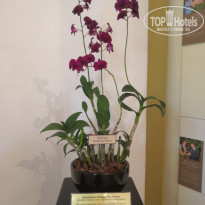 фото из отзыва ID 1997380