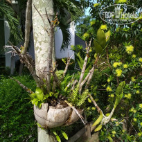 фото из отзыва ID 1997490