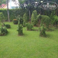 фото из отзыва ID 1997490