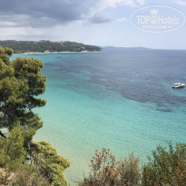 фото из отзыва ID 1997468