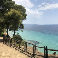 фото из отзыва ID 1997468