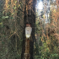 фото из отзыва ID 1997468