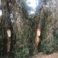 фото из отзыва ID 1997468