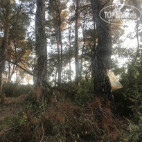 фото из отзыва ID 1997468