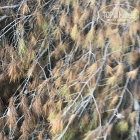 фото из отзыва ID 1997468