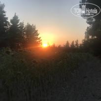 фото из отзыва ID 1997468