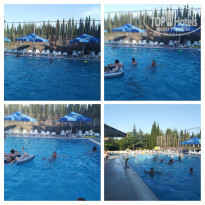 фото из отзыва ID 1997434