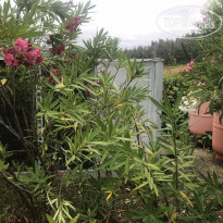 фото из отзыва ID 1997468