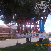 фото из отзыва ID 1997441