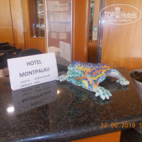 фото из отзыва ID 1997441