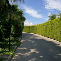 фото из отзыва ID 1997483