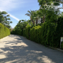 фото из отзыва ID 1997483