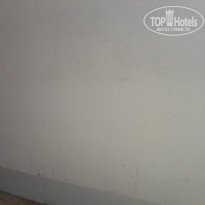 фото из отзыва ID 1997583