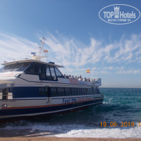 фото из отзыва ID 1997441