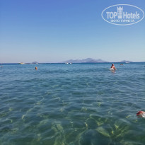 фото из отзыва ID 1997803