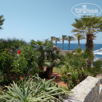 фото из отзыва ID 1997836