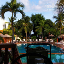 фото из отзыва ID 1997817