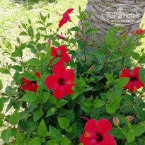 фото из отзыва ID 1997803