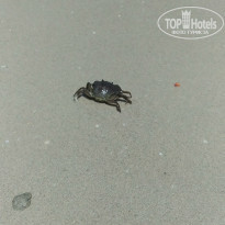 фото из отзыва ID 1997807