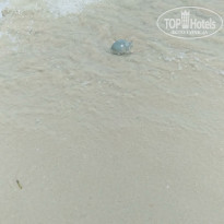 фото из отзыва ID 1997807