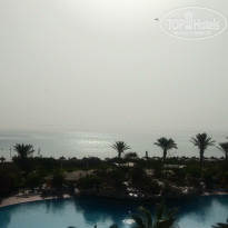 фото из отзыва ID 1997807